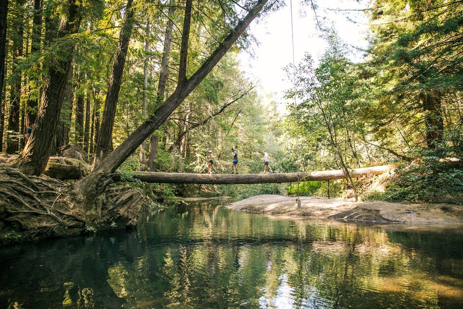 Attendees crossing a fallen log bridge over the Navarro River